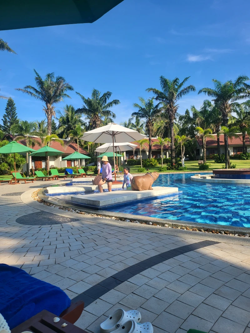palm garden resort pool